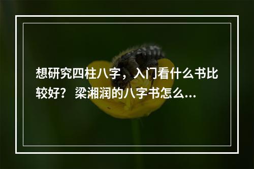 想研究四柱八字，入门看什么书比较好？ 梁湘润的八字书怎么样
