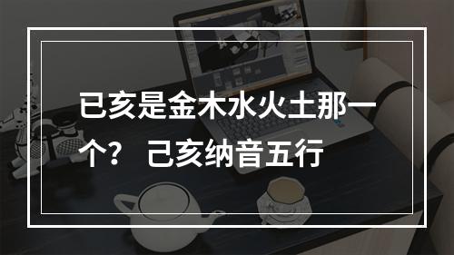 已亥是金木水火土那一个？ 己亥纳音五行
