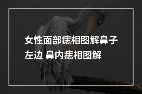 女性面部痣相图解鼻子左边 鼻内痣相图解