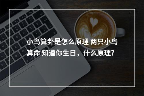 小鸟算卦是怎么原理 两只小鸟算命 知道你生日，什么原理？