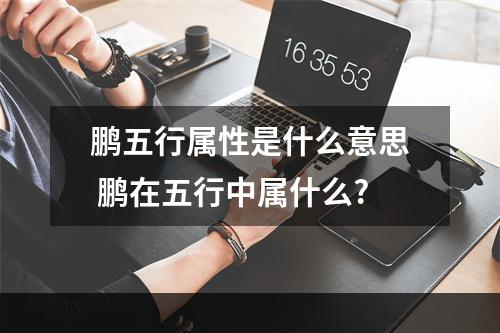 鹏五行属性是什么意思 鹏在五行中属什么?