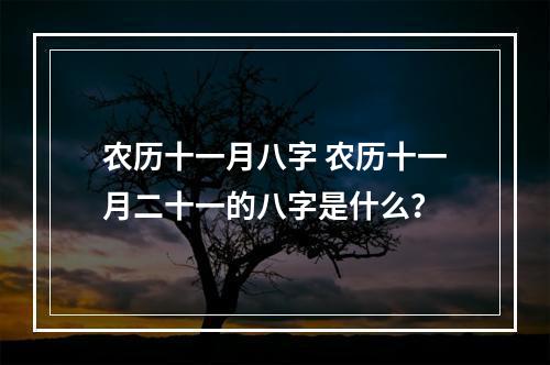 农历十一月八字 农历十一月二十一的八字是什么？