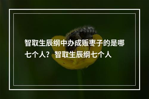 智取生辰纲中办成贩枣子的是哪七个人？ 智取生辰纲七个人