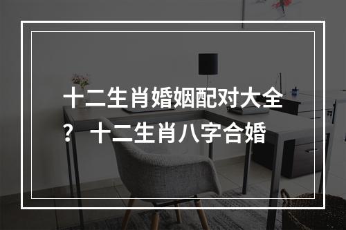 十二生肖婚姻配对大全？ 十二生肖八字合婚