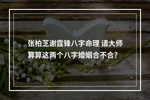 张柏芝谢霆锋八字命理 请大师算算这两个八字婚姻合不合？