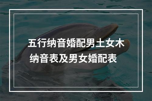 五行纳音婚配男土女木 纳音表及男女婚配表
