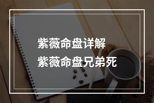 紫薇命盘详解 紫薇命盘兄弟死