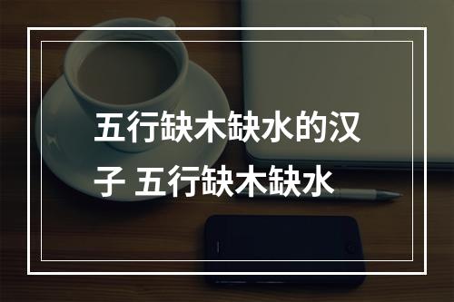 五行缺木缺水的汉子 五行缺木缺水