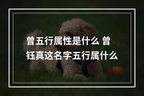 曾五行属性是什么 曾钰真这名字五行属什么