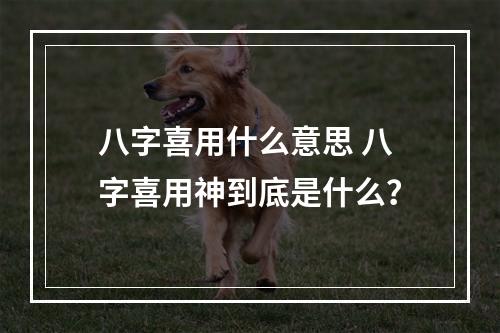 八字喜用什么意思 八字喜用神到底是什么？