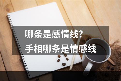 哪条是感情线？ 手相哪条是情感线