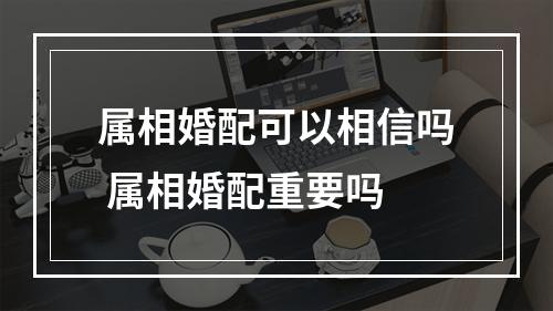 属相婚配可以相信吗 属相婚配重要吗