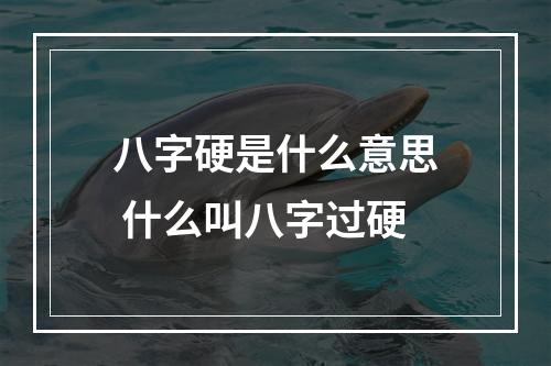 八字硬是什么意思 什么叫八字过硬