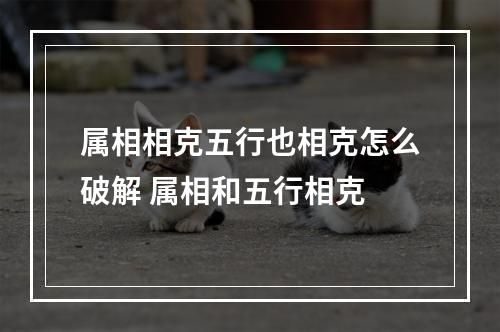 属相相克五行也相克怎么破解 属相和五行相克