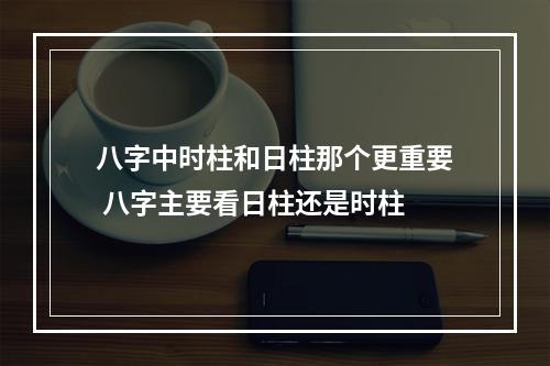 八字中时柱和日柱那个更重要 八字主要看日柱还是时柱