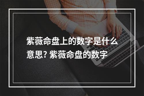 紫薇命盘上的数字是什么意思? 紫薇命盘的数字