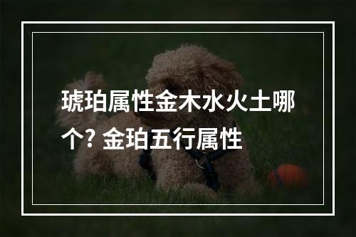 琥珀属性金木水火土哪个? 金珀五行属性