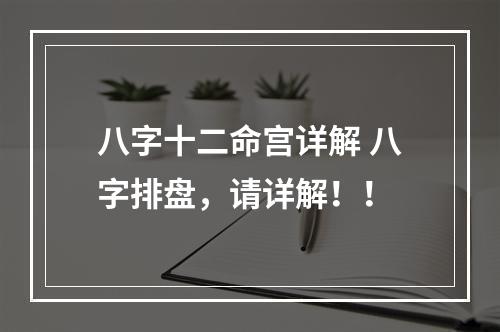 八字十二命宫详解 八字排盘，请详解！！