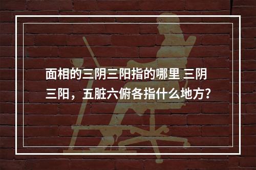 面相的三阴三阳指的哪里 三阴三阳，五脏六俯各指什么地方？