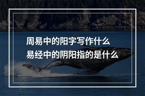 周易中的阳字写作什么 易经中的阴阳指的是什么