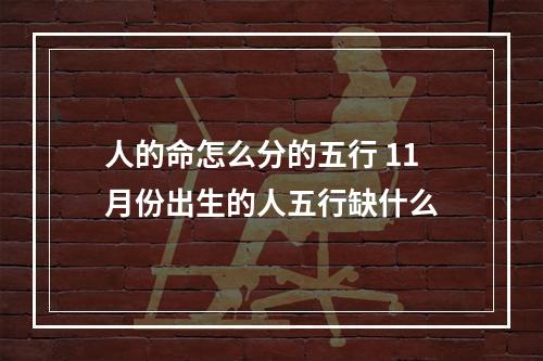 人的命怎么分的五行 11月份出生的人五行缺什么