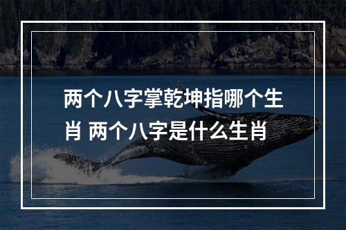 两个八字掌乾坤指哪个生肖 两个八字是什么生肖