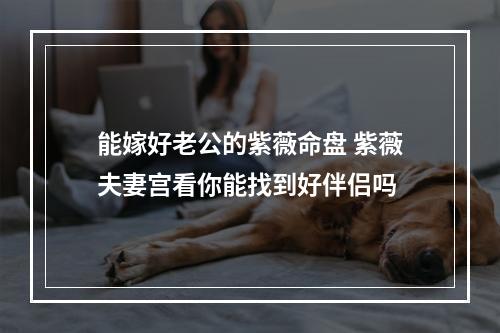 能嫁好老公的紫薇命盘 紫薇夫妻宫看你能找到好伴侣吗