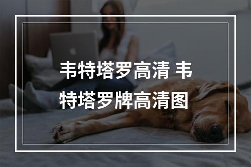 韦特塔罗高清 韦特塔罗牌高清图