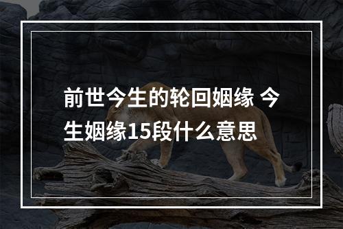 前世今生的轮回姻缘 今生姻缘15段什么意思