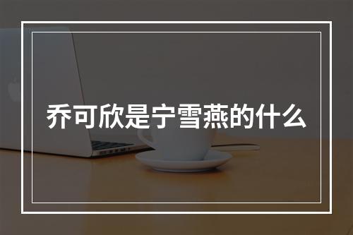 乔可欣是宁雪燕的什么