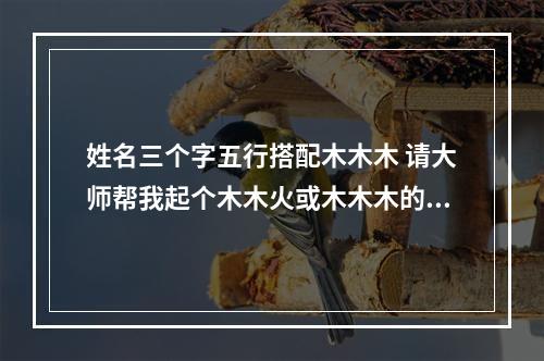 姓名三个字五行搭配木木木 请大师帮我起个木木火或木木木的名字！