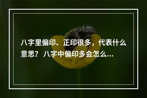 八字里偏印、正印很多，代表什么意思？ 八字中偏印多会怎么样