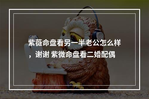 紫薇命盘看另一半老公怎么样，谢谢 紫微命盘看二婚配偶