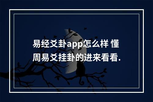 易经爻卦app怎么样 懂周易爻挂卦的进来看看.