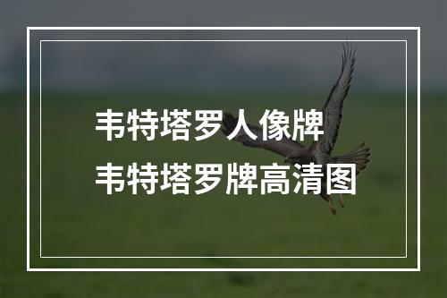 韦特塔罗人像牌 韦特塔罗牌高清图