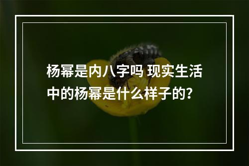 杨幂是内八字吗 现实生活中的杨幂是什么样子的？