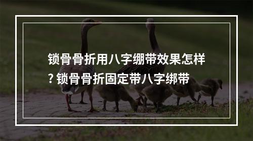 锁骨骨折用八字绷带效果怎样? 锁骨骨折固定带八字绑带