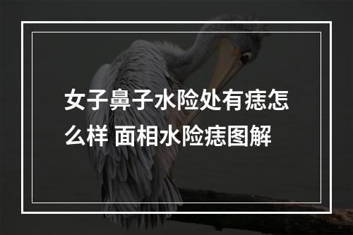女子鼻子水险处有痣怎么样 面相水险痣图解