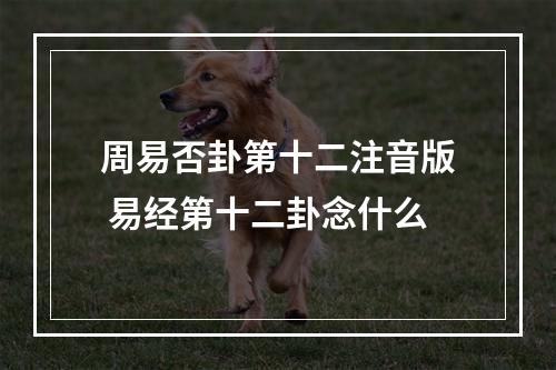 周易否卦第十二注音版 易经第十二卦念什么