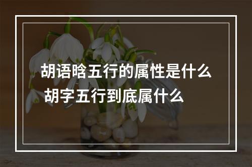 胡语晗五行的属性是什么 胡字五行到底属什么