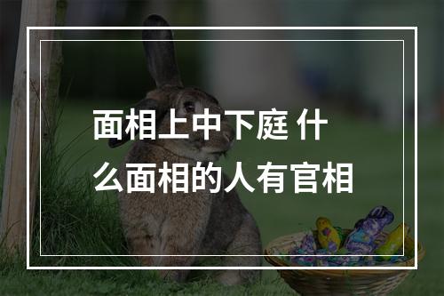 面相上中下庭 什么面相的人有官相