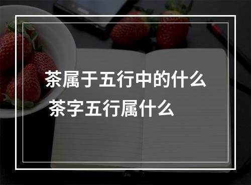 茶属于五行中的什么 茶字五行属什么