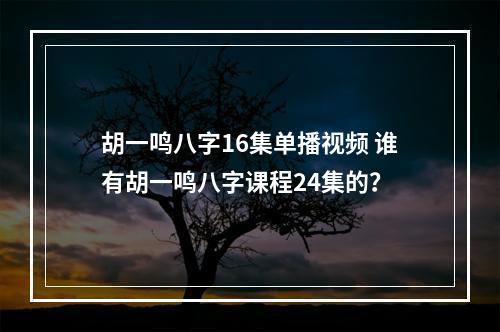 胡一鸣八字16集单播视频 谁有胡一鸣八字课程24集的？