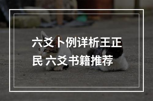 六爻卜例详析王正民 六爻书籍推荐