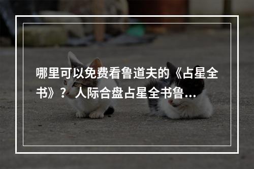 哪里可以免费看鲁道夫的《占星全书》？ 人际合盘占星全书鲁道夫pdf