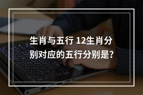 生肖与五行 12生肖分别对应的五行分别是？