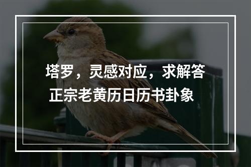 塔罗，灵感对应，求解答 正宗老黄历日历书卦象
