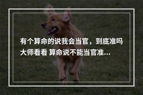 有个算命的说我会当官，到底准吗大师看看 算命说不能当官准吗