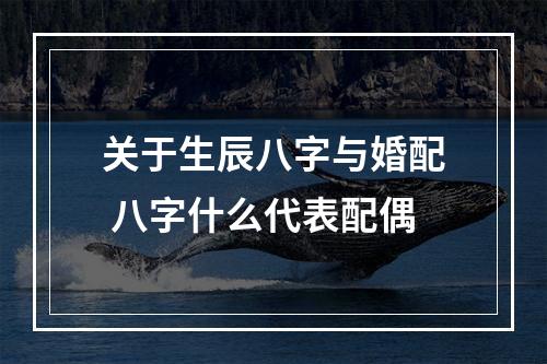 关于生辰八字与婚配 八字什么代表配偶