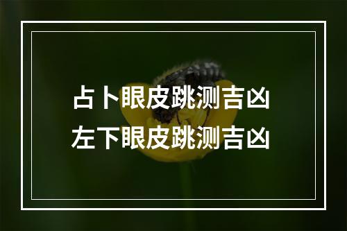 占卜眼皮跳测吉凶 左下眼皮跳测吉凶